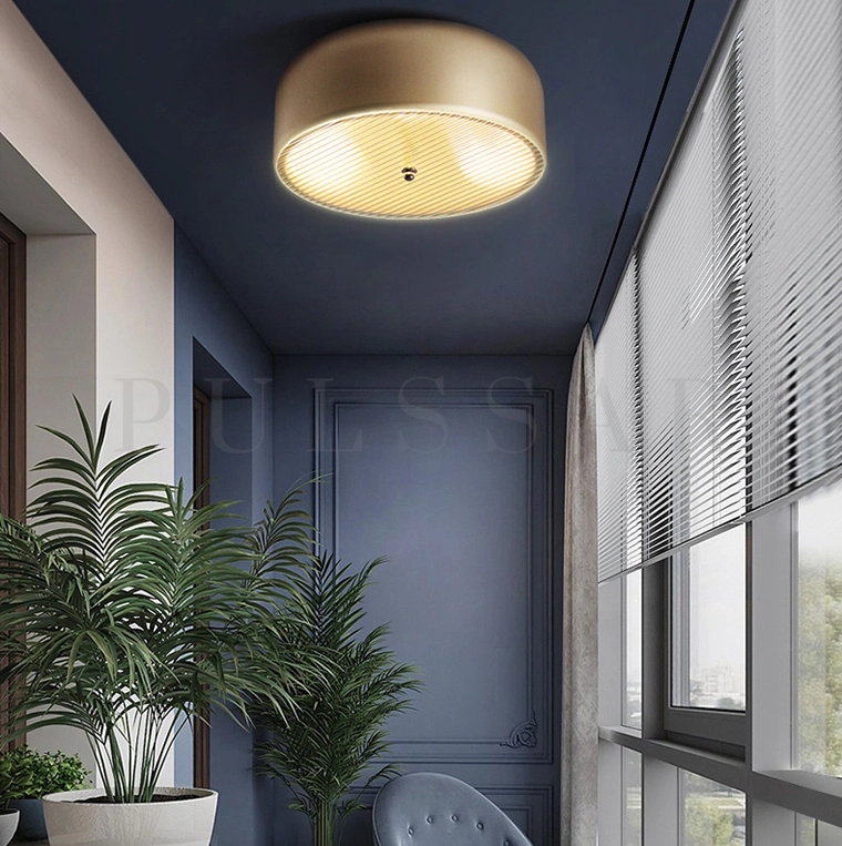 Потолочный светильник RANNY