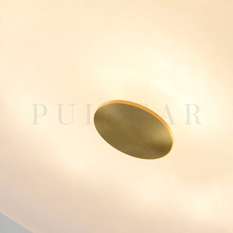 Потолочный светильник SALENA