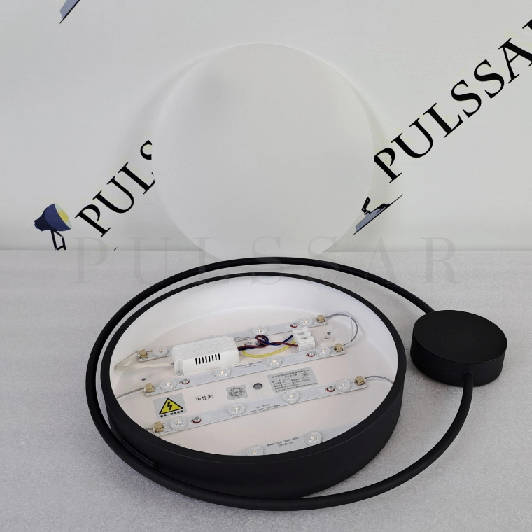 Потолочный светильник DESTIN