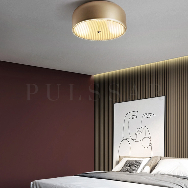 Потолочный светильник RANNY