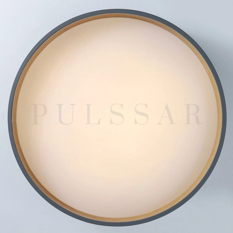 Потолочный светильник NETTY