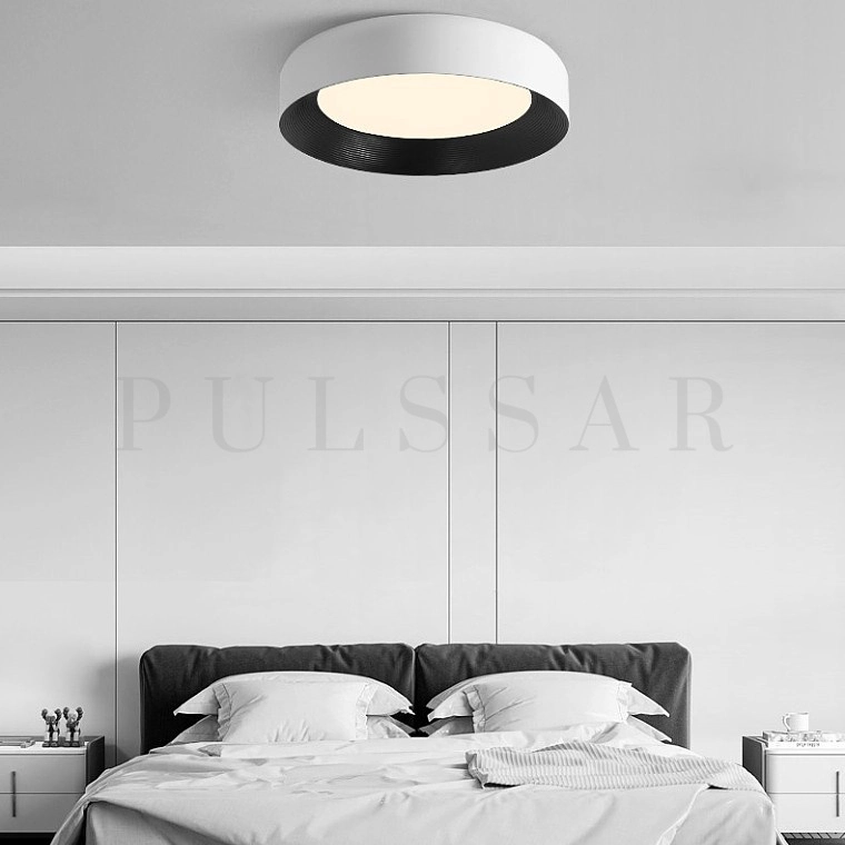 Потолочный светильник ROY CH