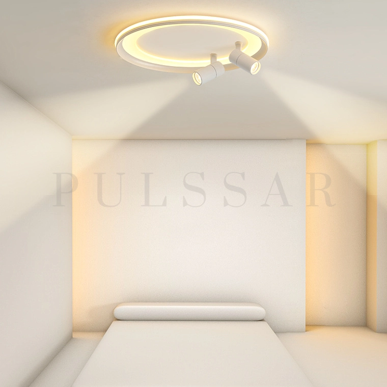 Потолочный светильник GARB