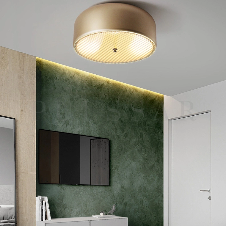 Потолочный светильник RANNY