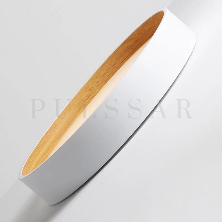 Потолочный светильник NETTY