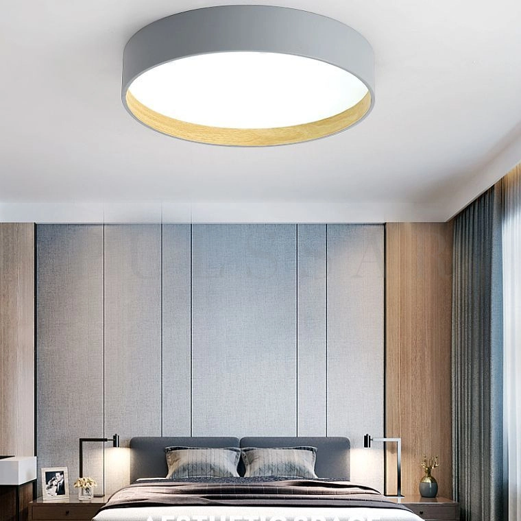 Потолочный светильник NETTY