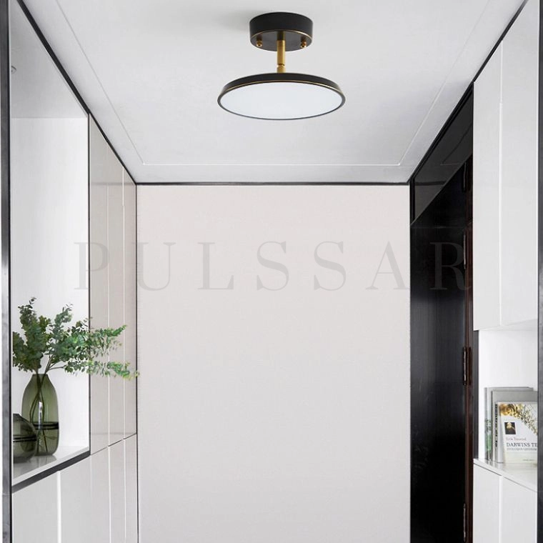 Точечный светильник BIRK