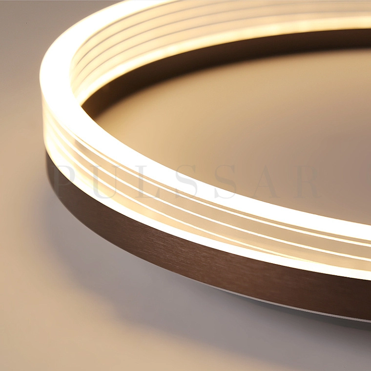 Потолочный светильник LIGO