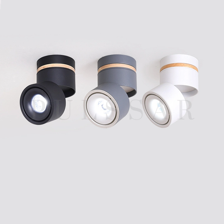 Точечный светильник AGENDA WOOD