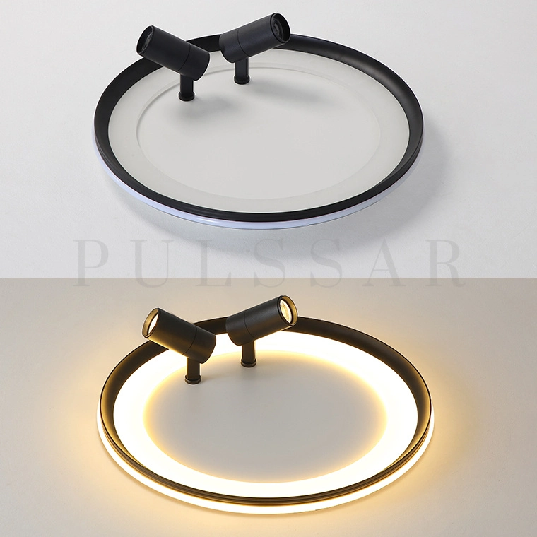 Потолочный светильник GARB