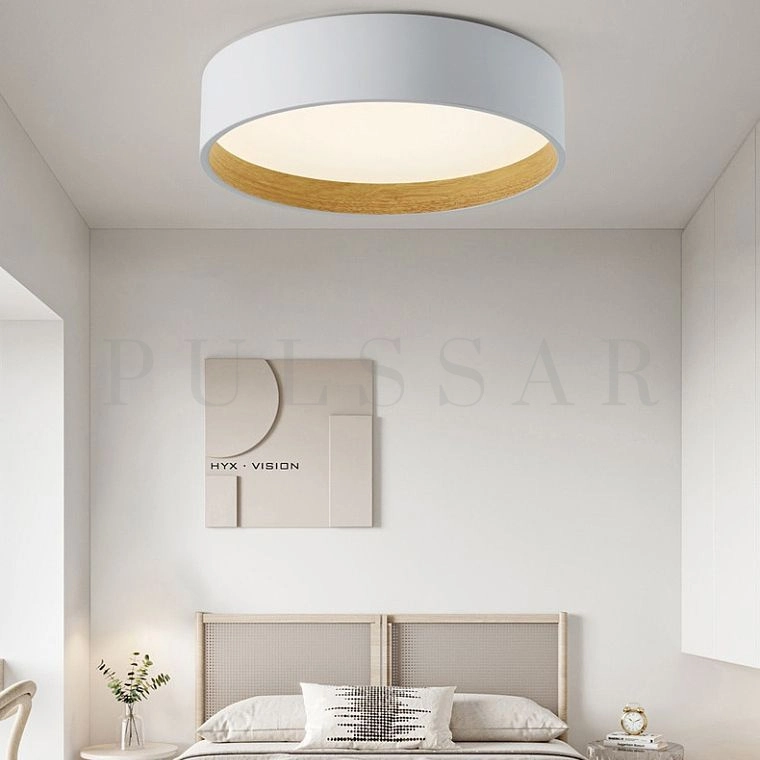 Потолочный светильник NETTY