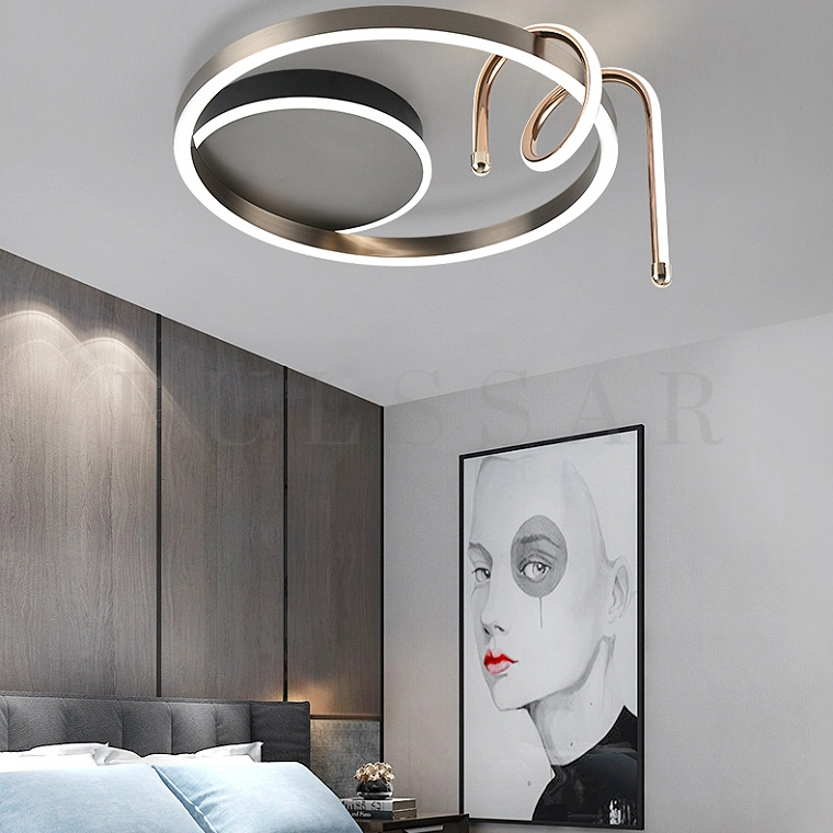 Потолочный светильник OTTIMO RING CH