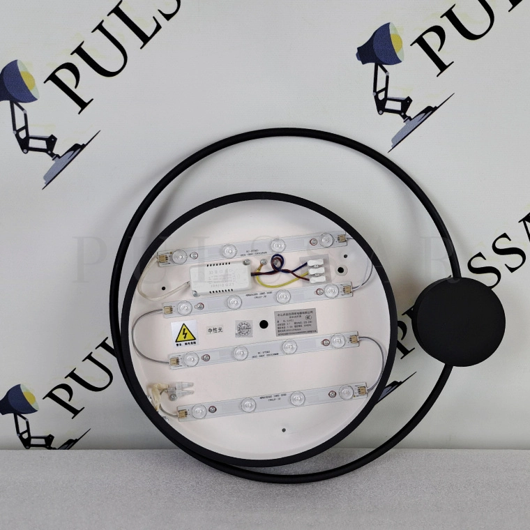 Потолочный светильник DESTIN