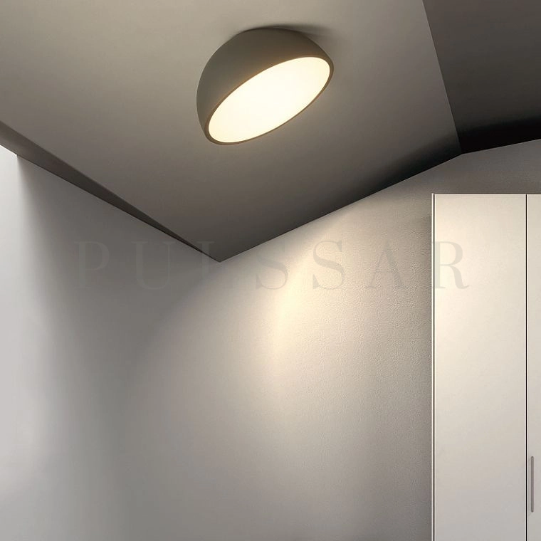 Потолочный светильник SELDEN