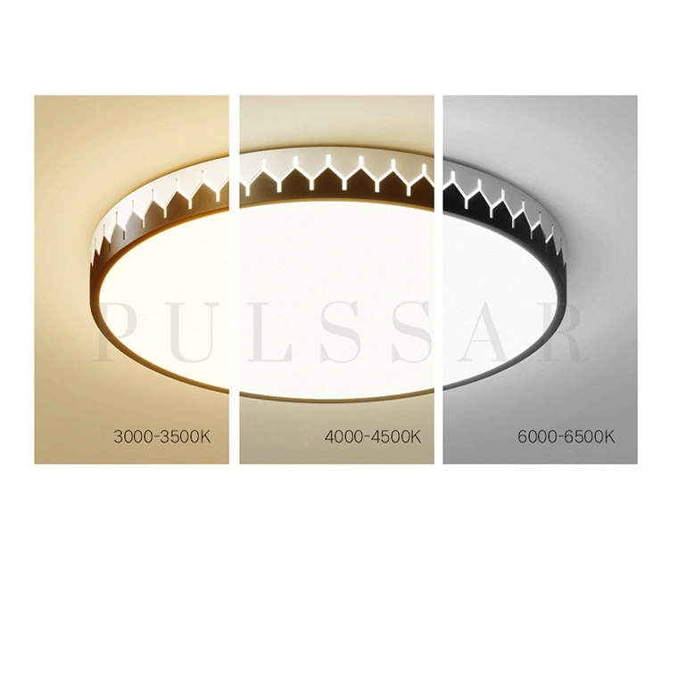 Потолочный светильник RYUS