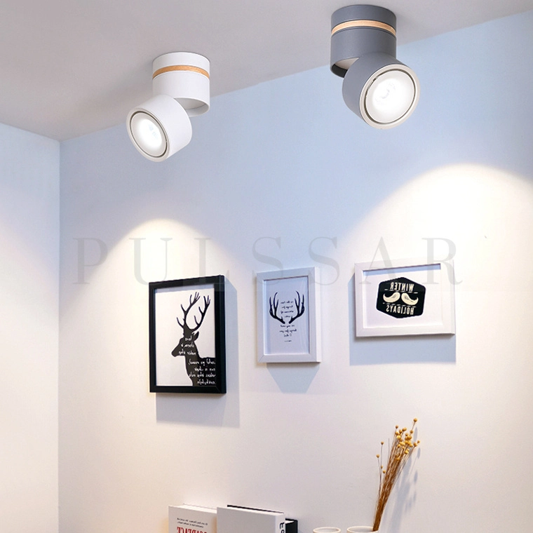 Точечный светильник AGENDA WOOD