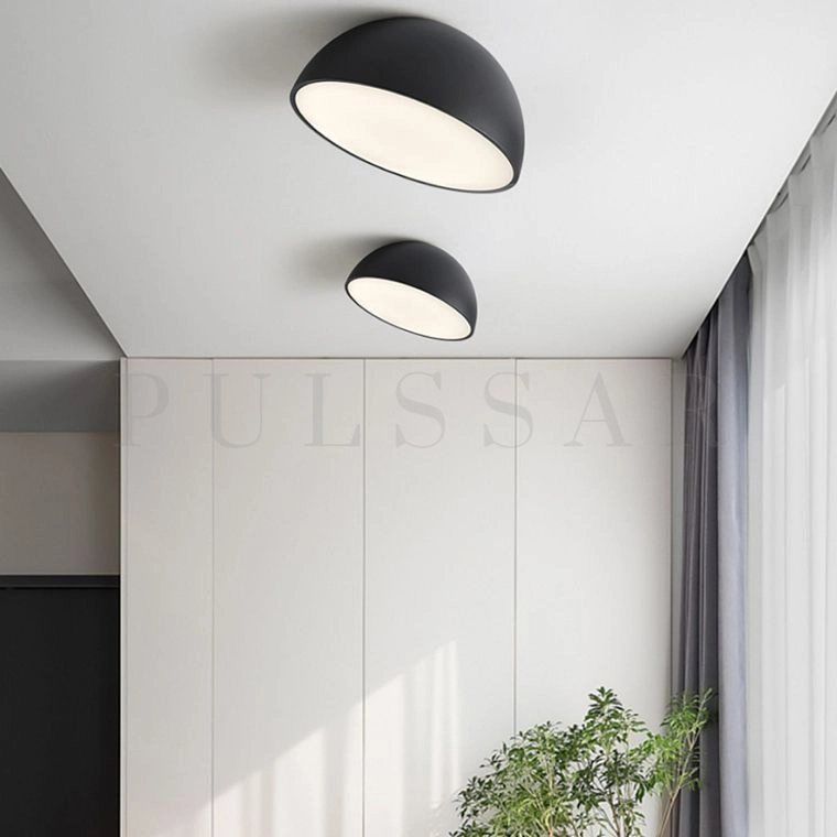 Потолочный светильник SELDEN