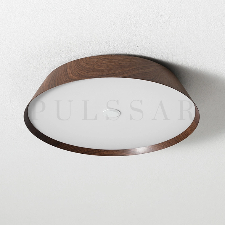 Потолочный светильник VASABI