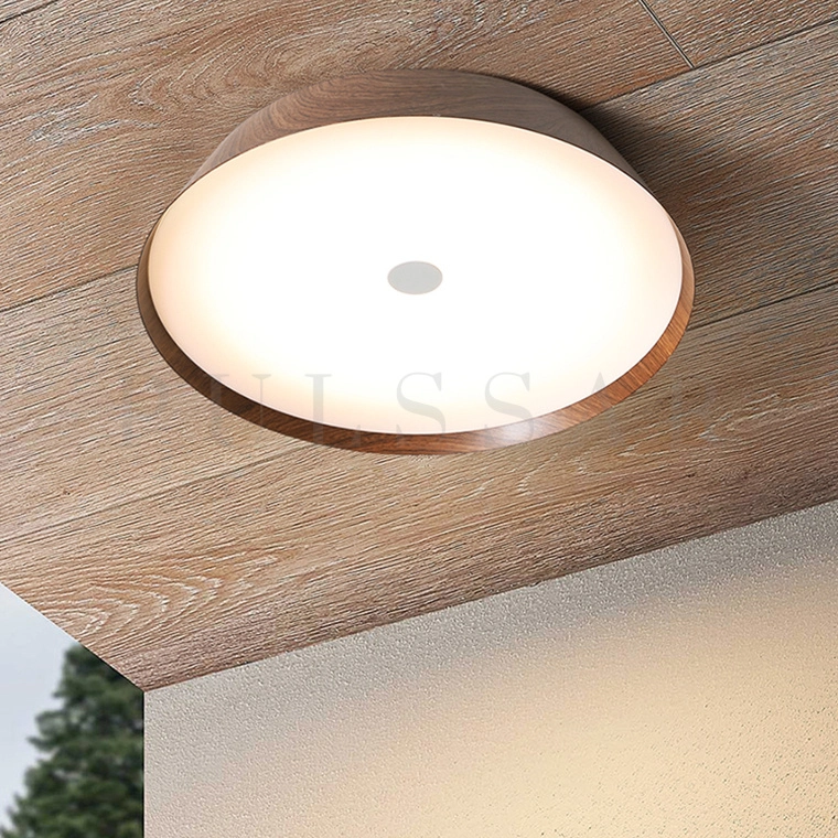 Потолочный светильник VASABI