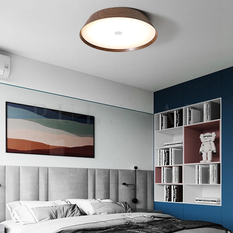 Потолочный светильник VASABI