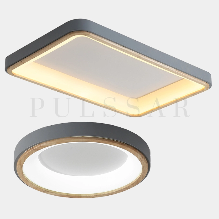 Потолочный светильник BRISTOL