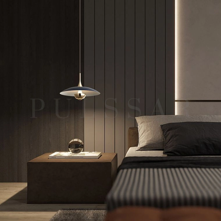 Подвесной светильник SEGERT