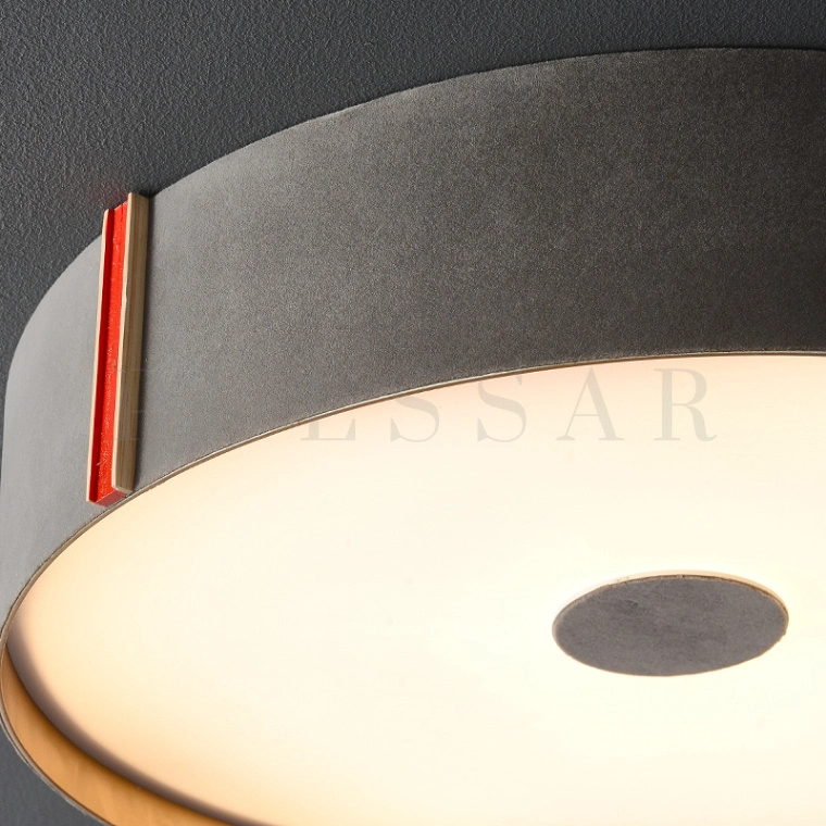 Потолочный светильник COLORI