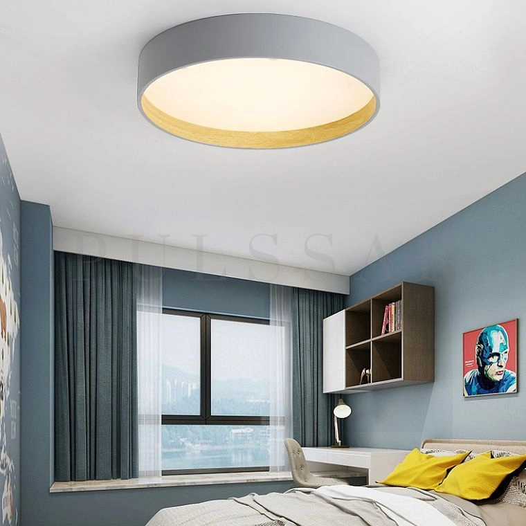 Потолочный светильник NETTY