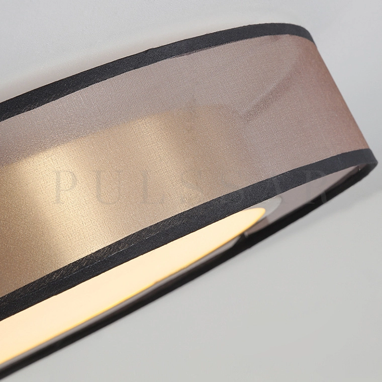 Потолочный светильник DANICA