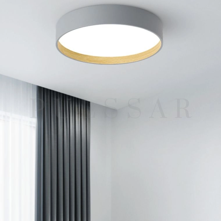 Потолочный светильник NETTY