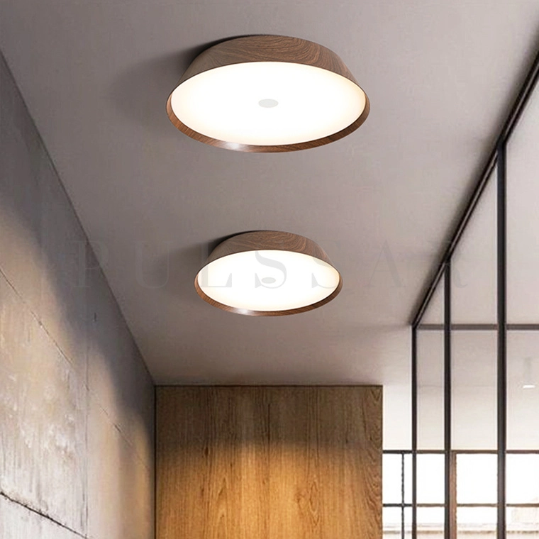 Потолочный светильник VASABI