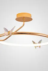BABETTA CH LUX