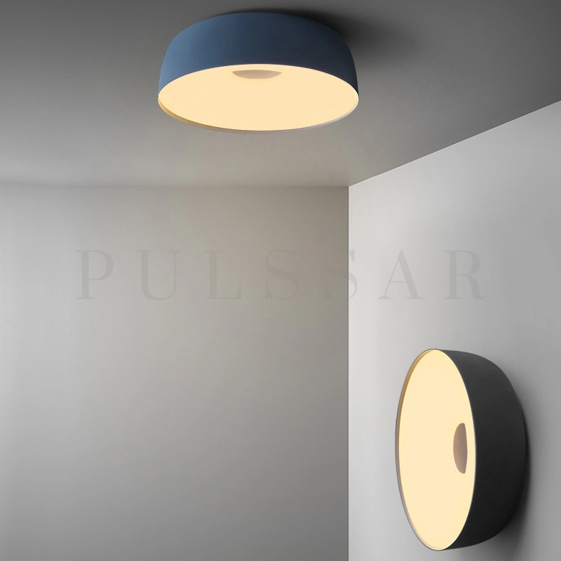 Потолочный светильник BRIM