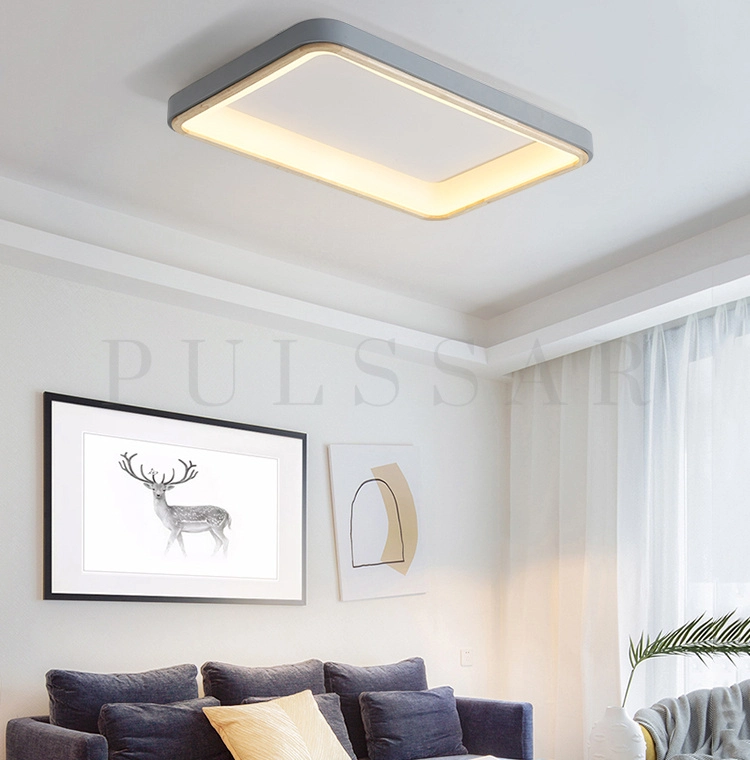 Потолочный светильник BRISTOL