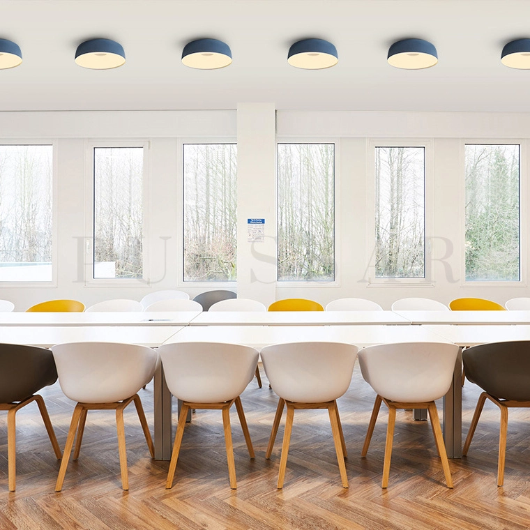 Потолочный светильник BRIM