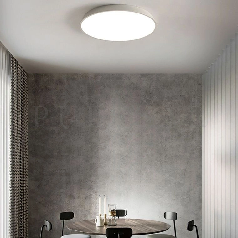 Потолочный светильник TERRA