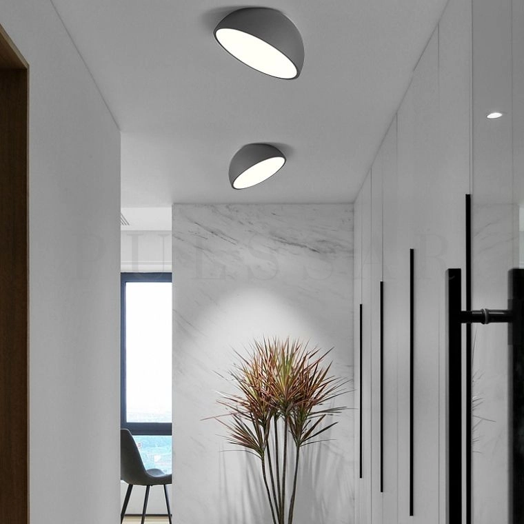 Потолочный светильник SELDEN