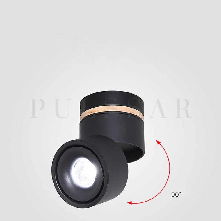 Точечный светильник AGENDA WOOD