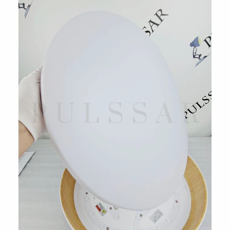 Потолочный светильник WENNY