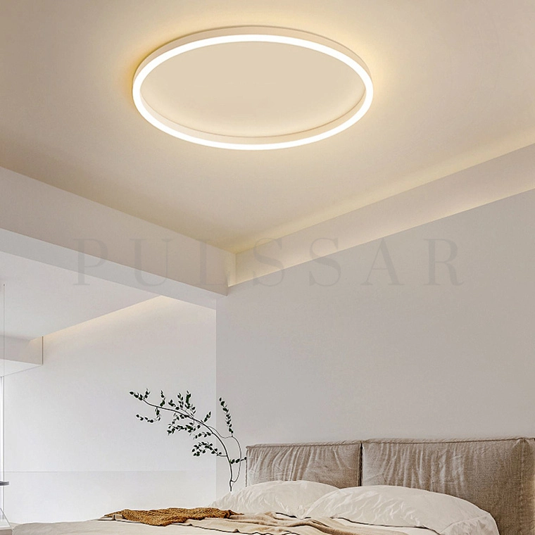 Потолочный светильник MONET