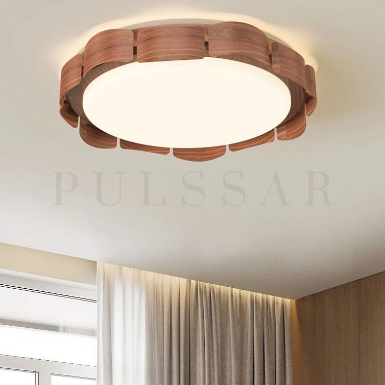 Потолочный светильник SHELT